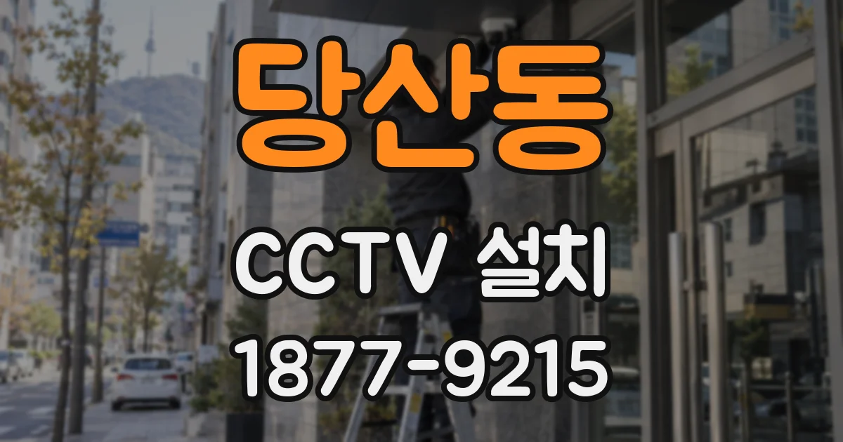 당산동 CCTV 설치