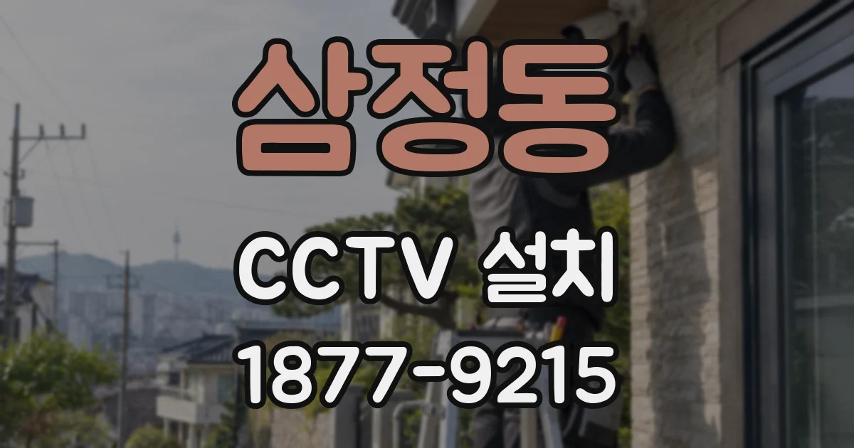 삼정동 CCTV 설치