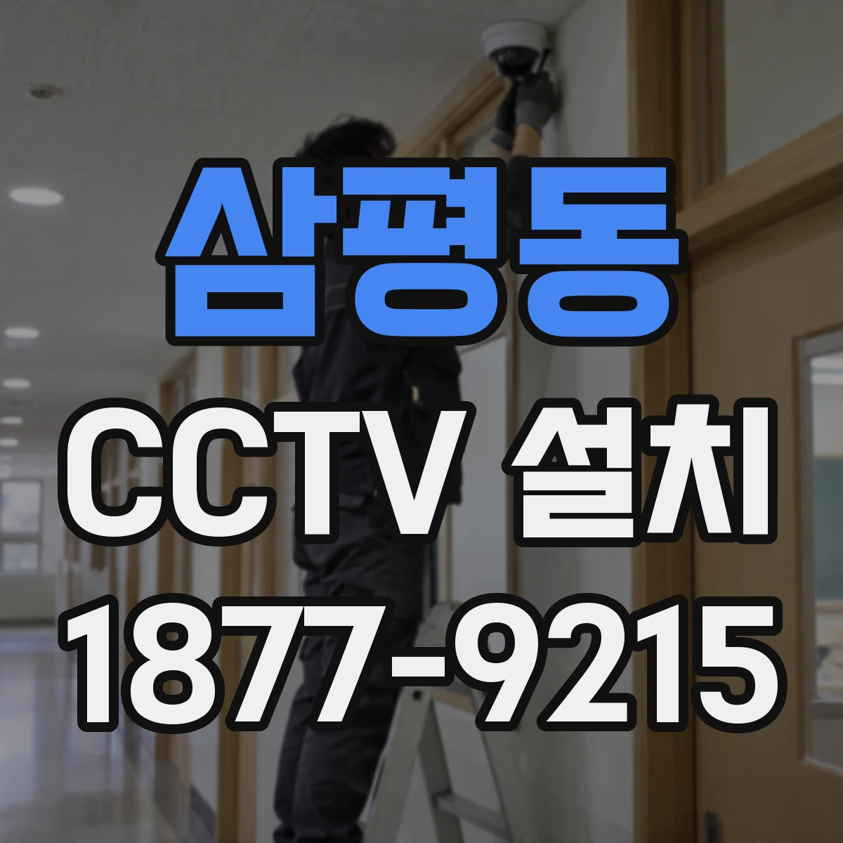 삼평동 CCTV 설치