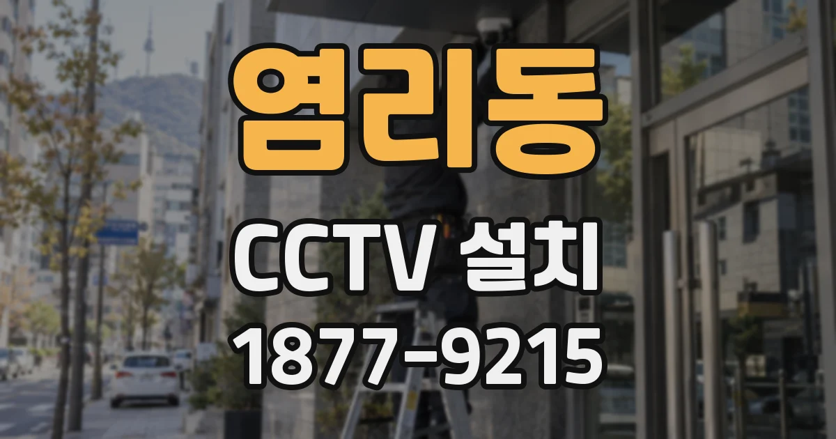 염리동 CCTV 설치