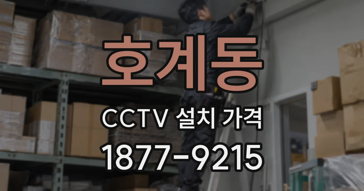 호계동 CCTV 설치 가격