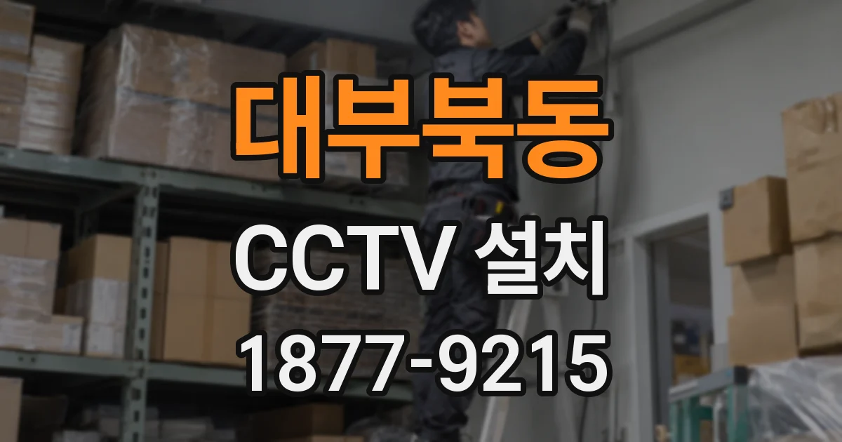 대부북동 CCTV 설치