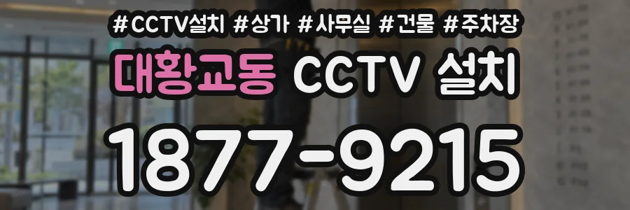 대황교동 CCTV 설치