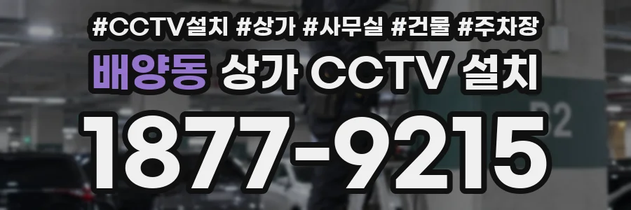 배양동 상가 CCTV 설치