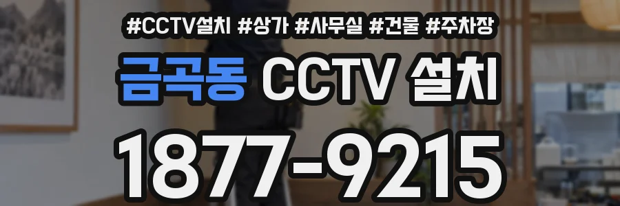 금곡동 CCTV 설치