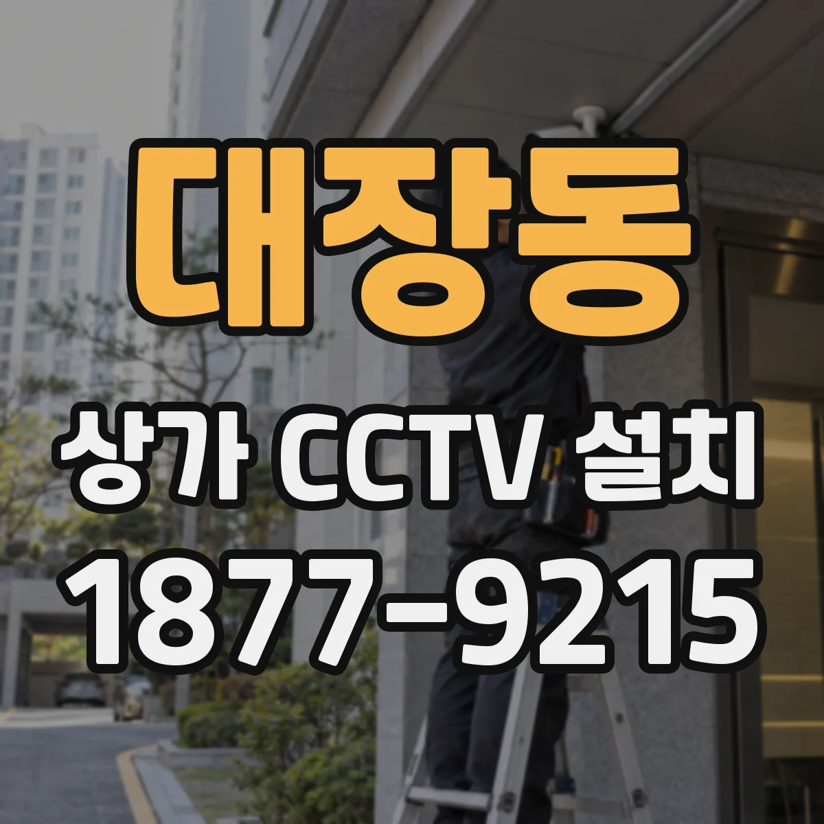 대장동 상가 CCTV 설치