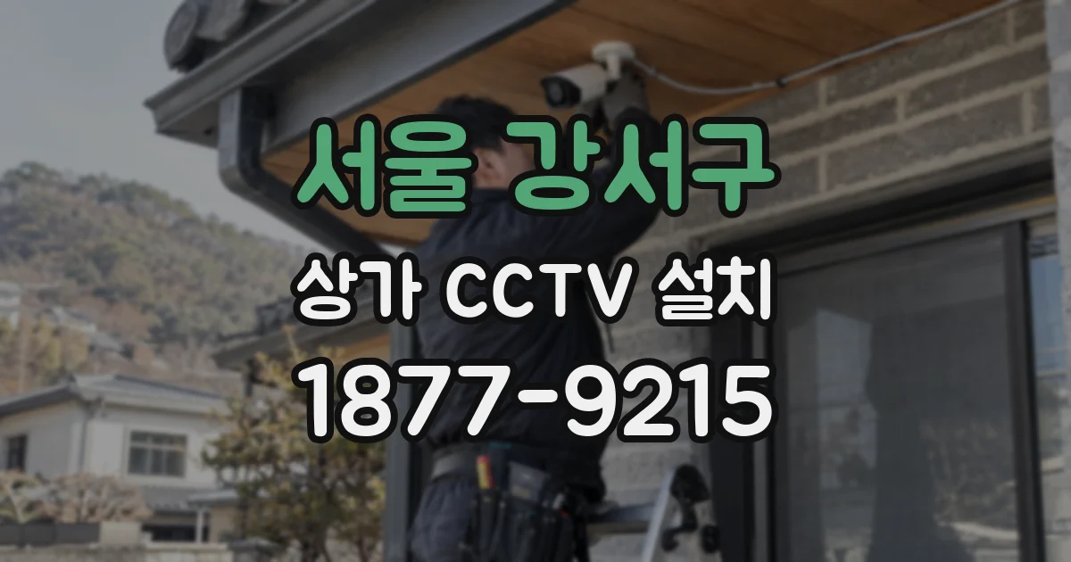 서울 강서구 상가 CCTV 설치