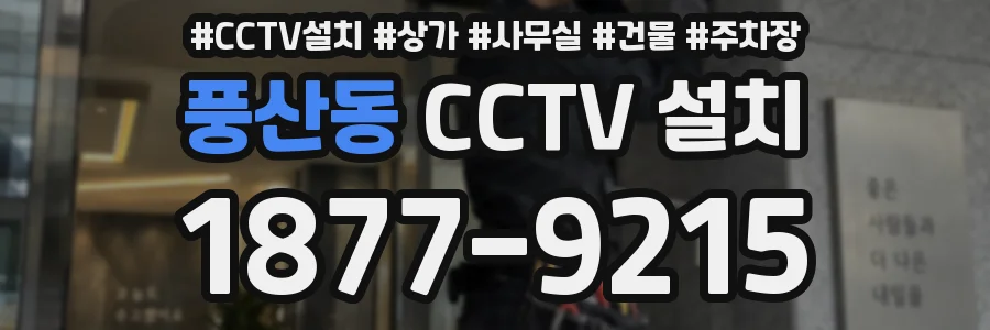 풍산동 CCTV 설치