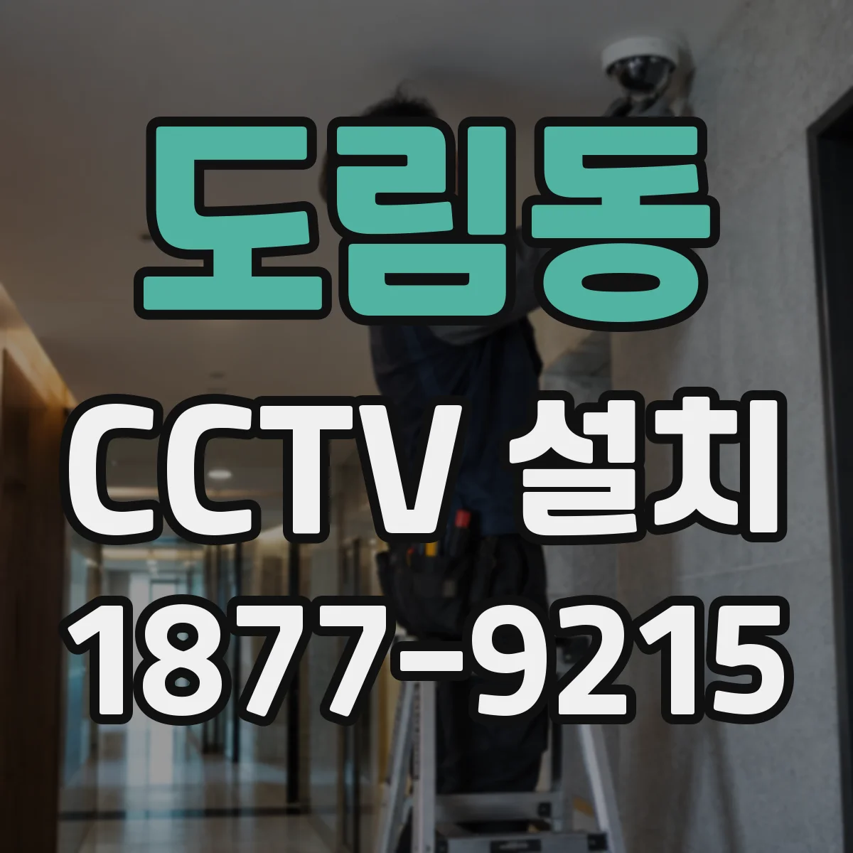 도림동 CCTV 설치