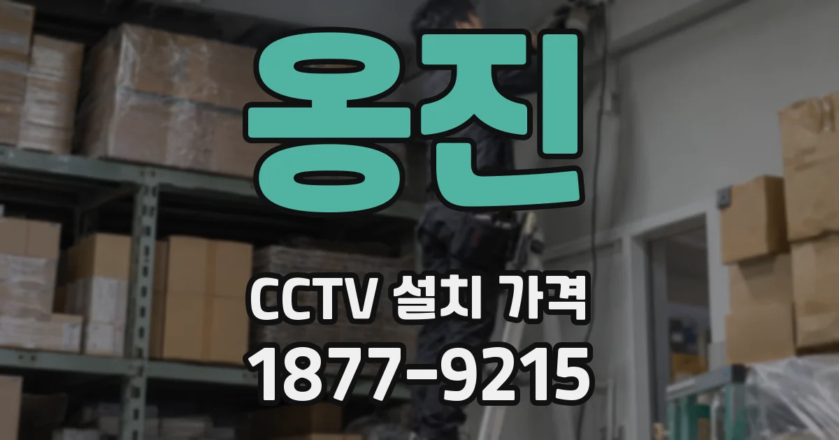 옹진 CCTV 설치 가격