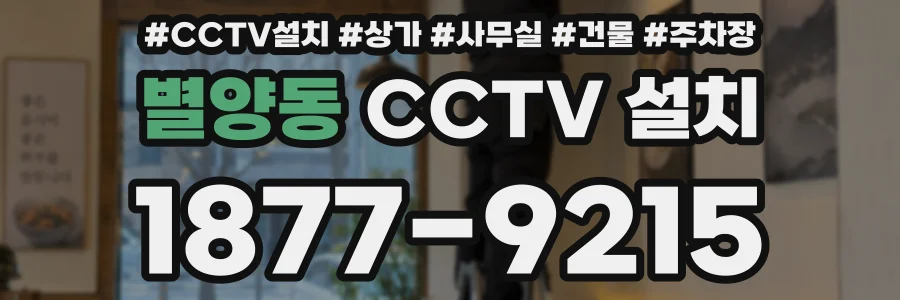 별양동 CCTV 설치