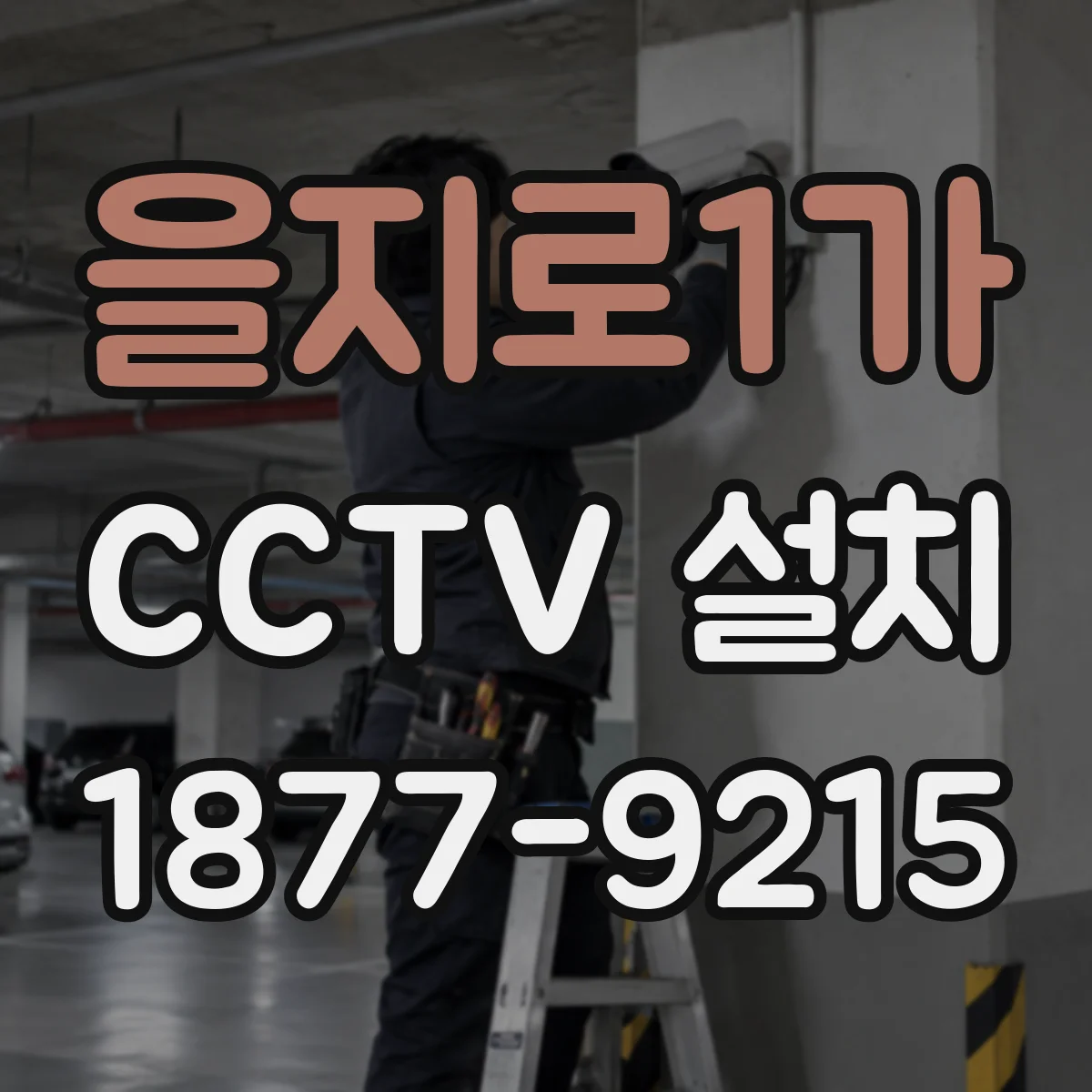 을지로1가 CCTV 설치