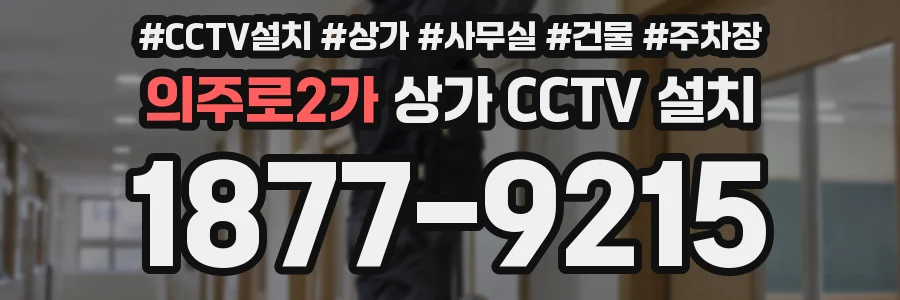 의주로2가 상가 CCTV 설치