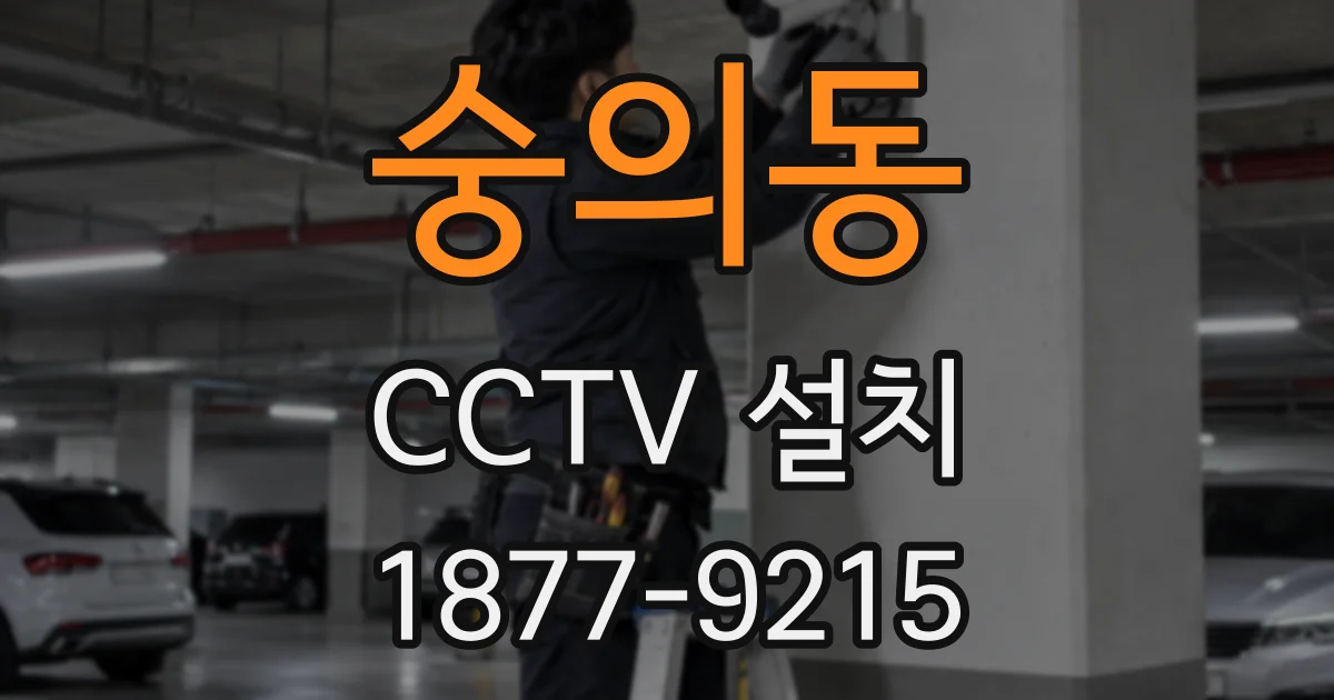 숭의동 CCTV 설치