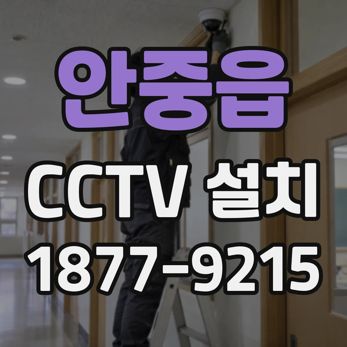 안중읍 CCTV 설치