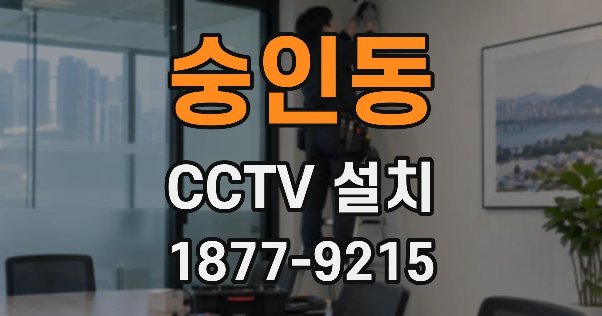 숭인동 CCTV 설치