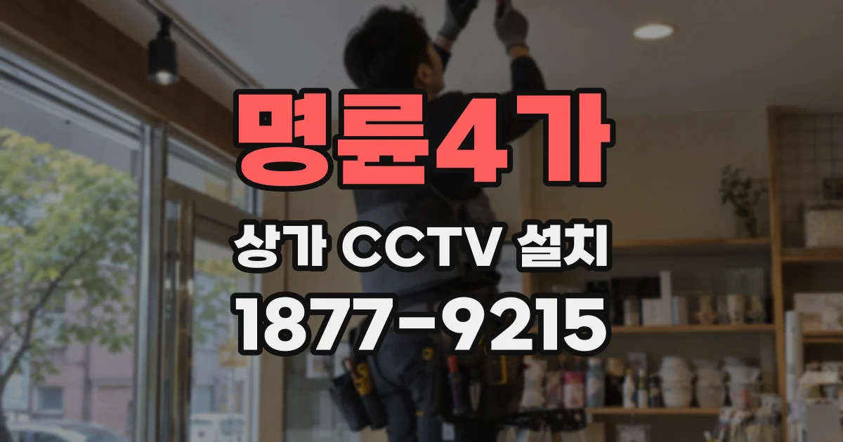 명륜4가 상가 CCTV 설치