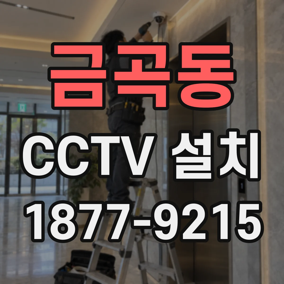 금곡동 CCTV 설치