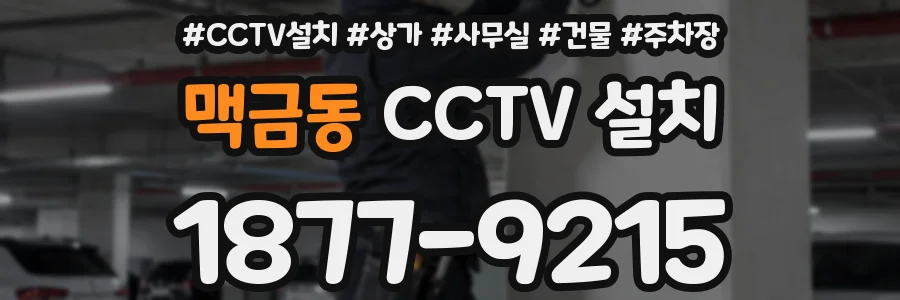 맥금동 CCTV 설치