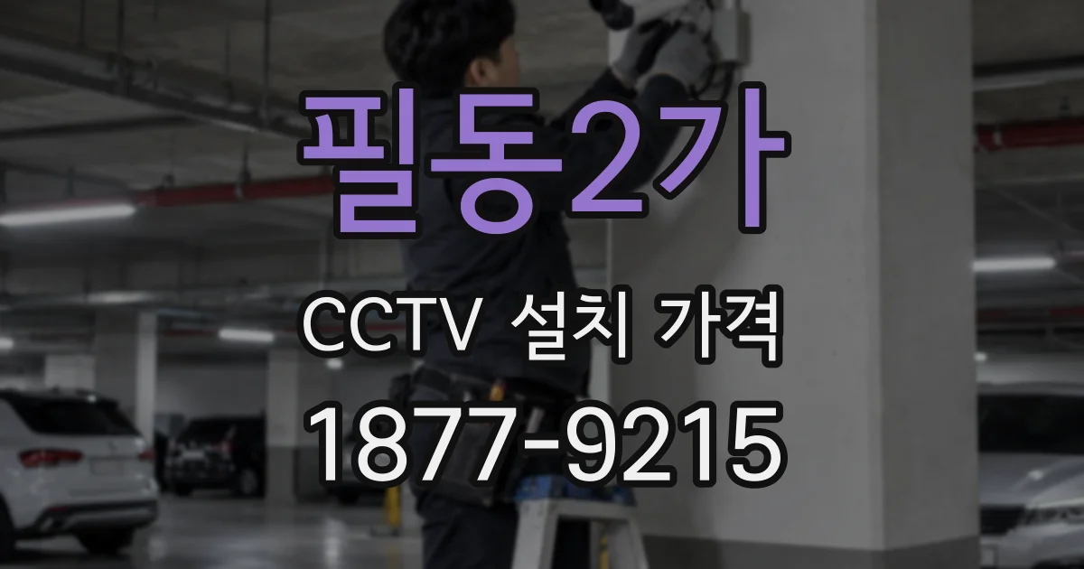 필동2가 CCTV 설치 가격