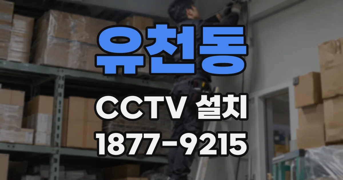 유천동 CCTV 설치