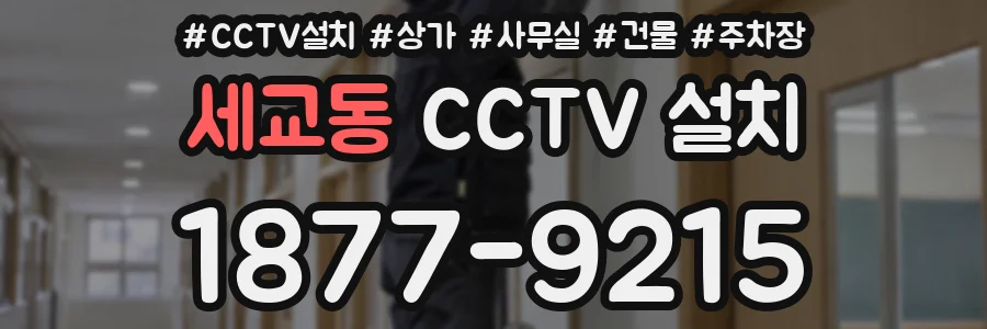세교동 CCTV 설치