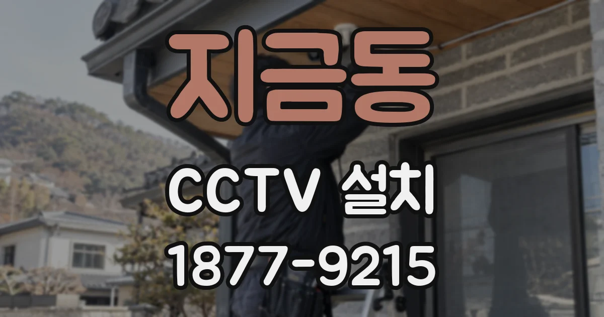 지금동 CCTV 설치