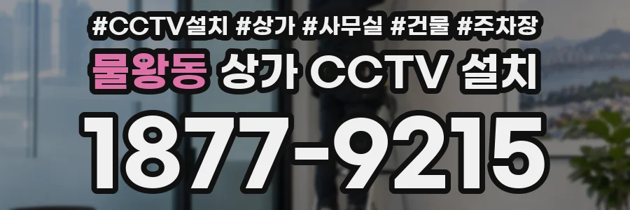 물왕동 상가 CCTV 설치