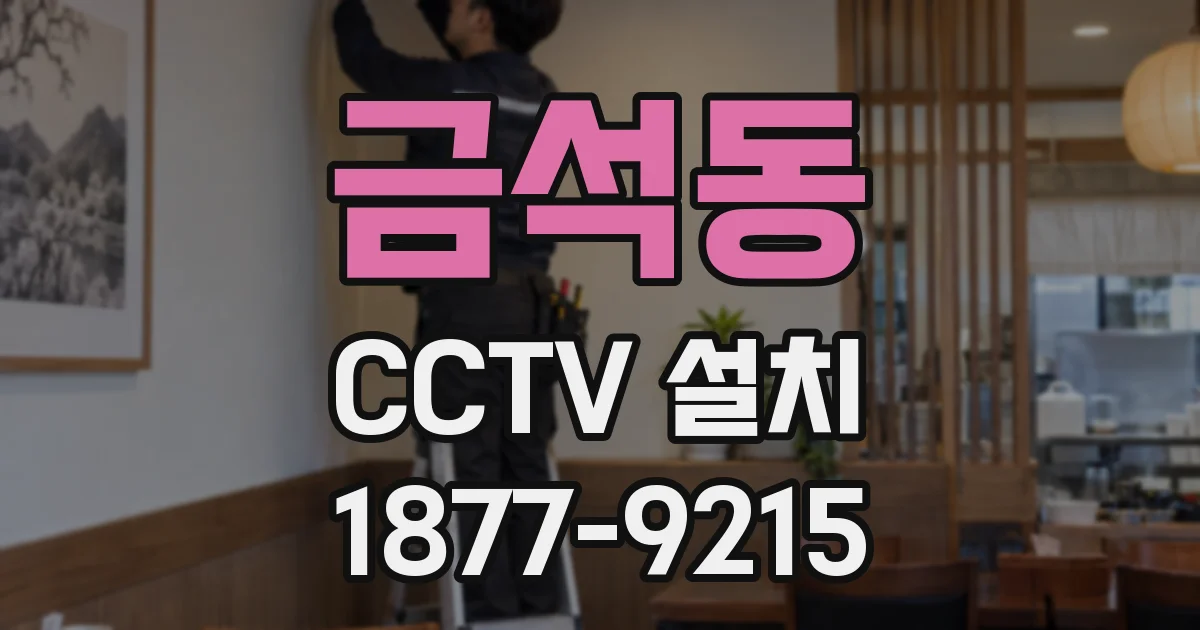 금석동 CCTV 설치