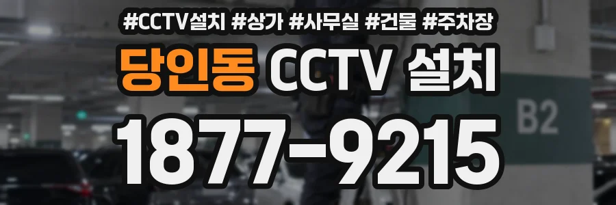 당인동 CCTV 설치