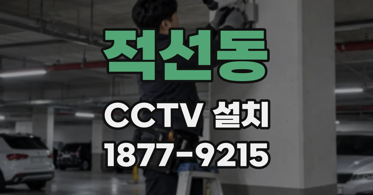 적선동 CCTV 설치