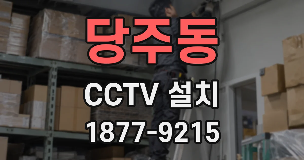 당주동 CCTV 설치