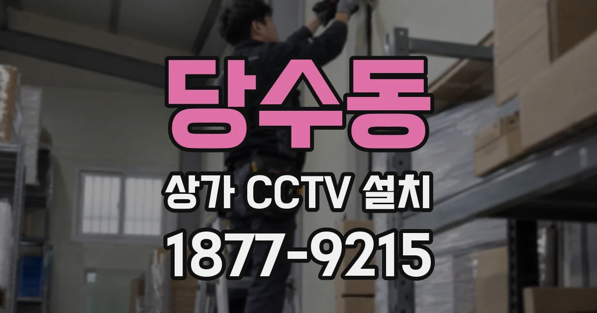 당수동 상가 CCTV 설치
