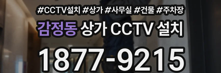 감정동 상가 CCTV 설치