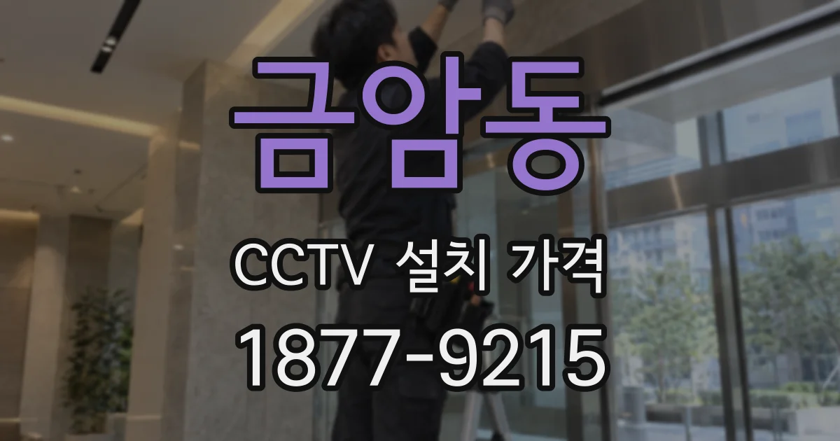 금암동 CCTV 설치 가격