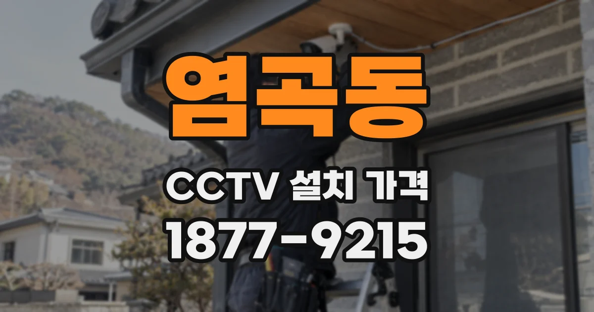 염곡동 CCTV 설치 가격
