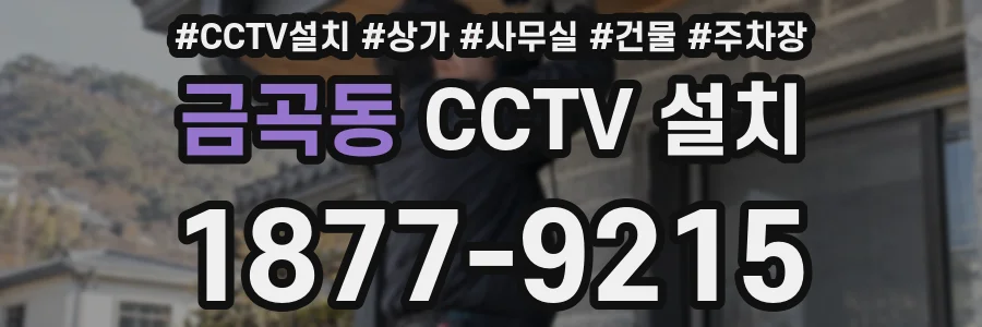 금곡동 CCTV 설치