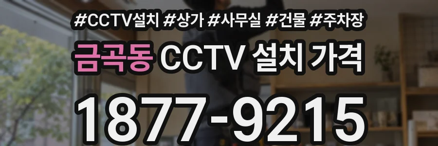 금곡동 CCTV 설치 가격