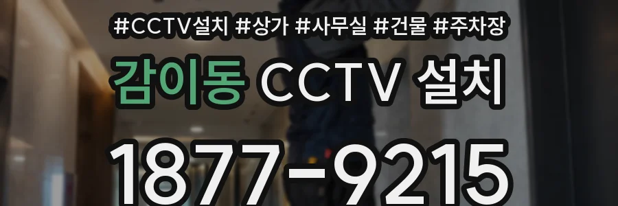감이동 CCTV 설치