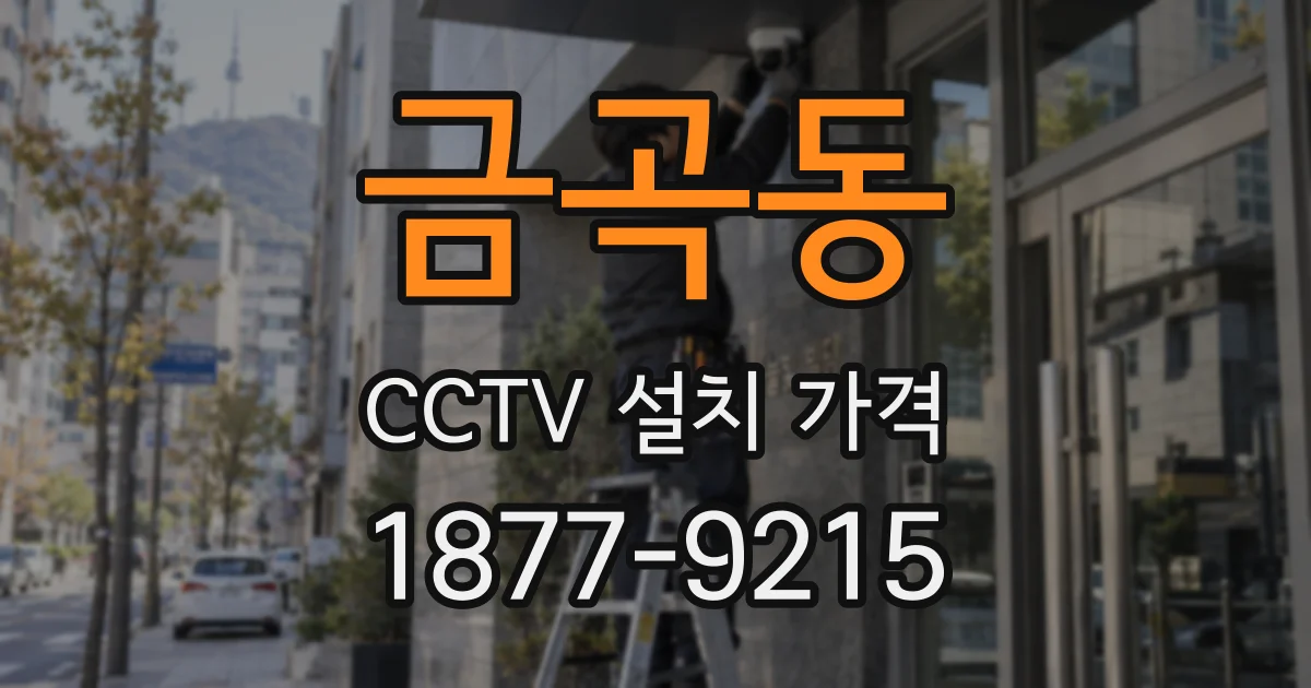 금곡동 CCTV 설치 가격
