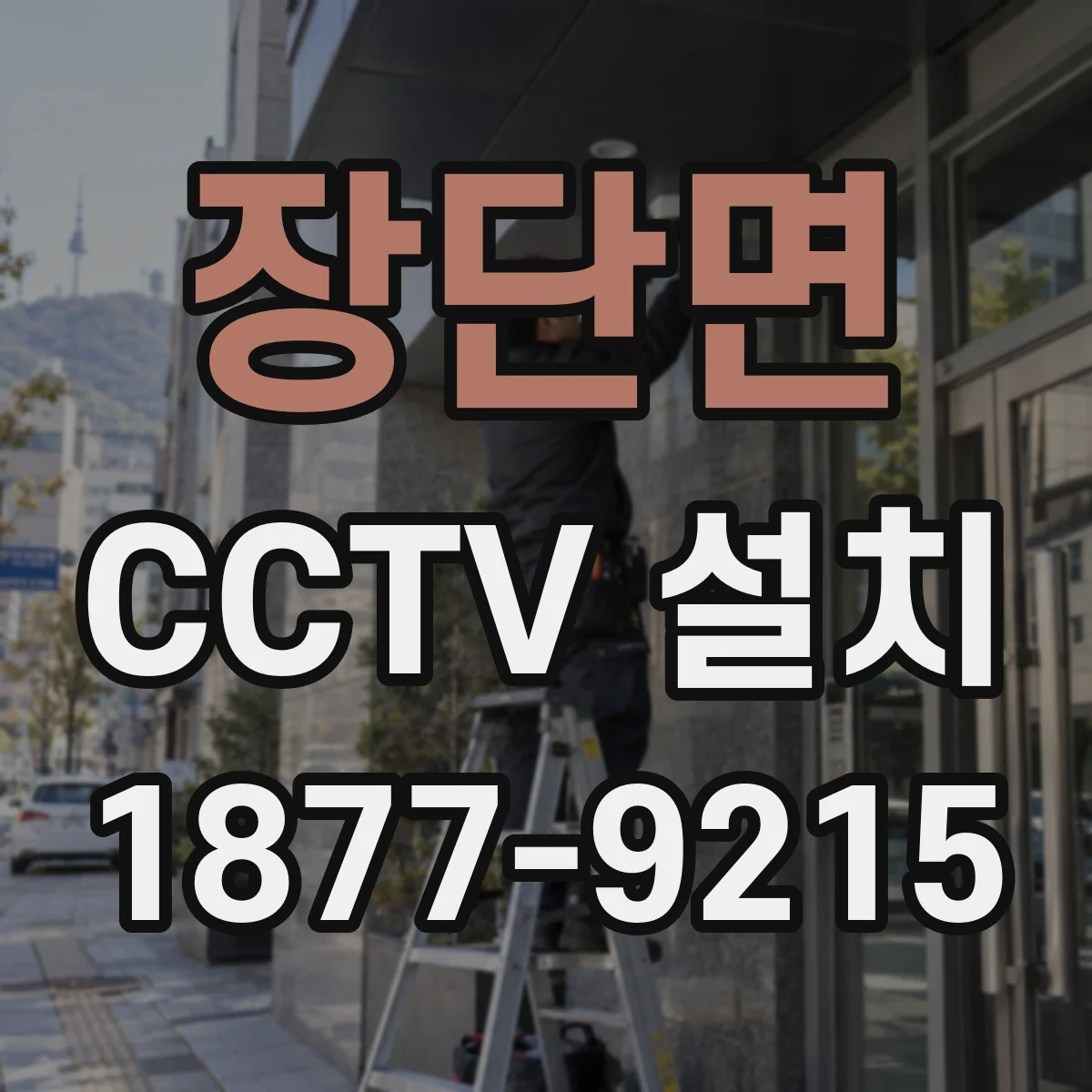 장단면 CCTV 설치