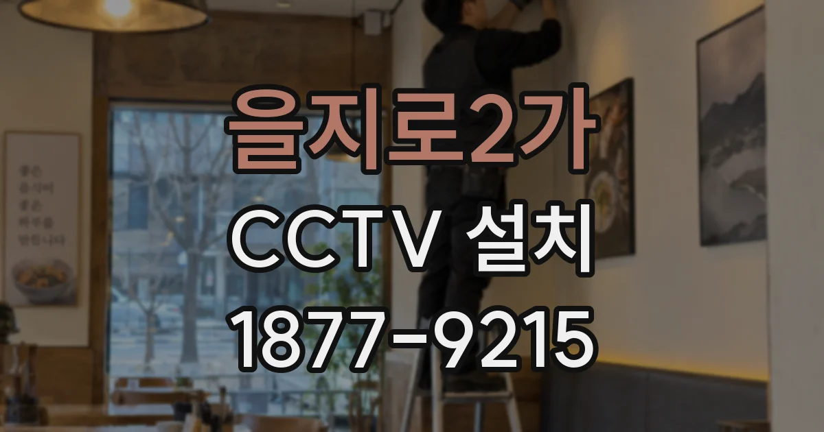 을지로2가 CCTV 설치