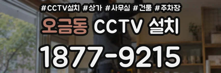 오금동 CCTV 설치