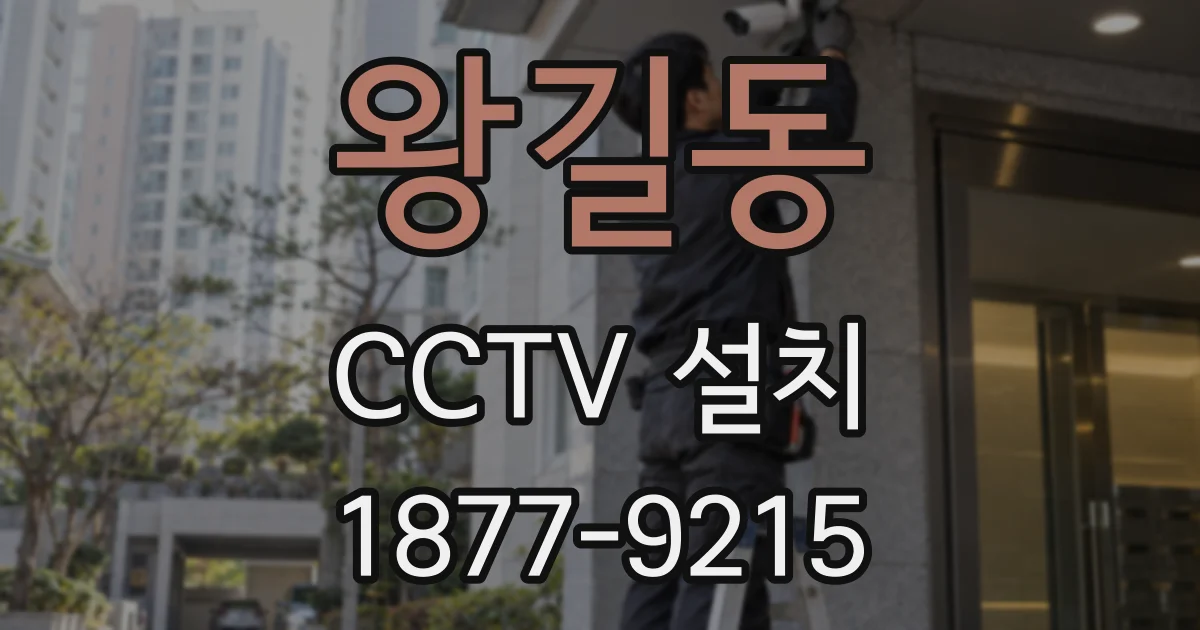 왕길동 CCTV 설치