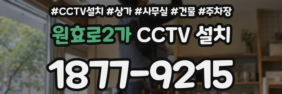 원효로2가 CCTV 설치