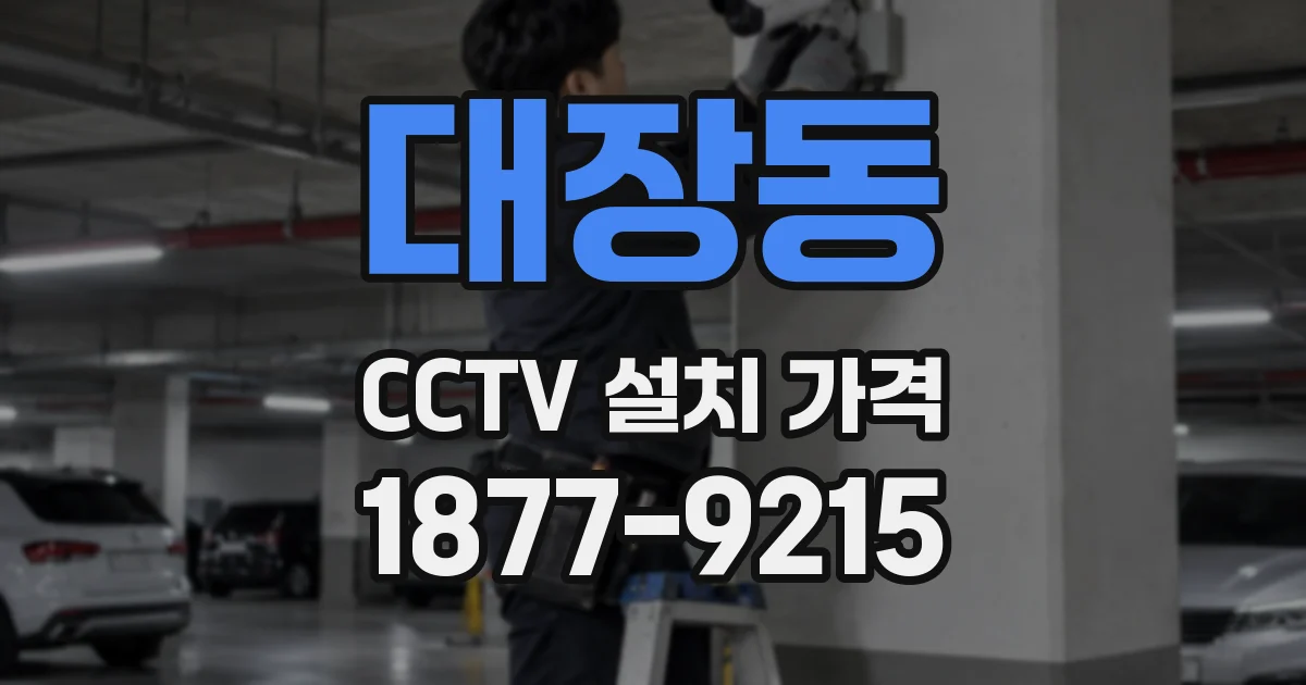 대장동 CCTV 설치 가격