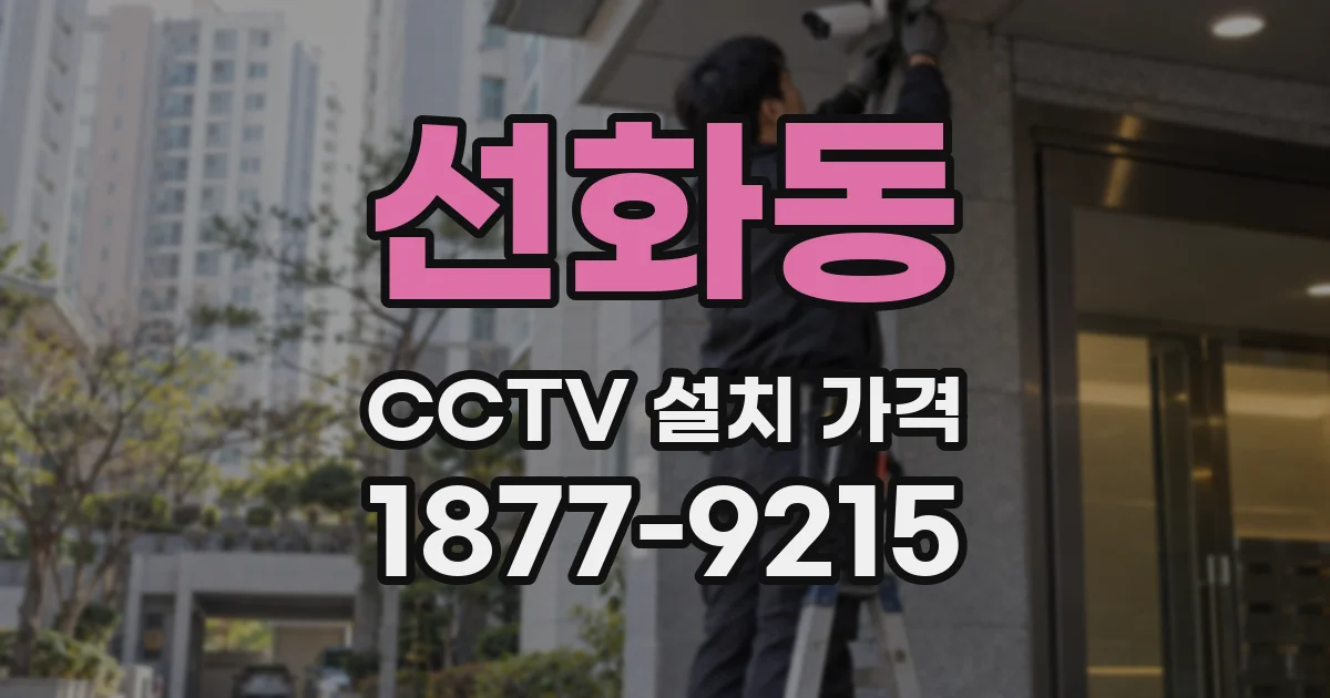 선화동 CCTV 설치 가격