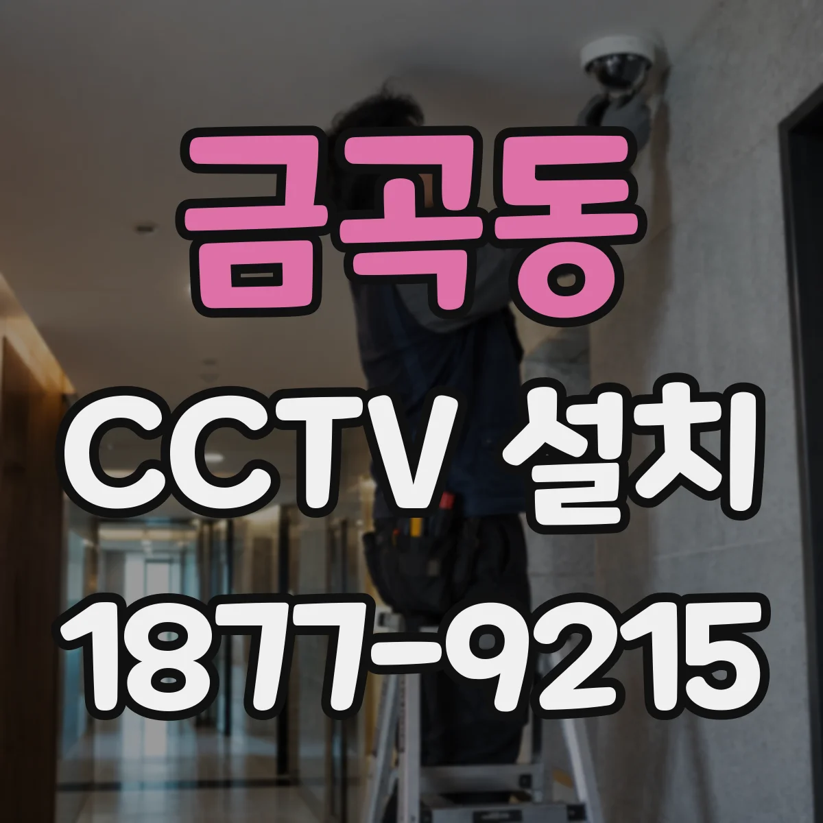 금곡동 CCTV 설치