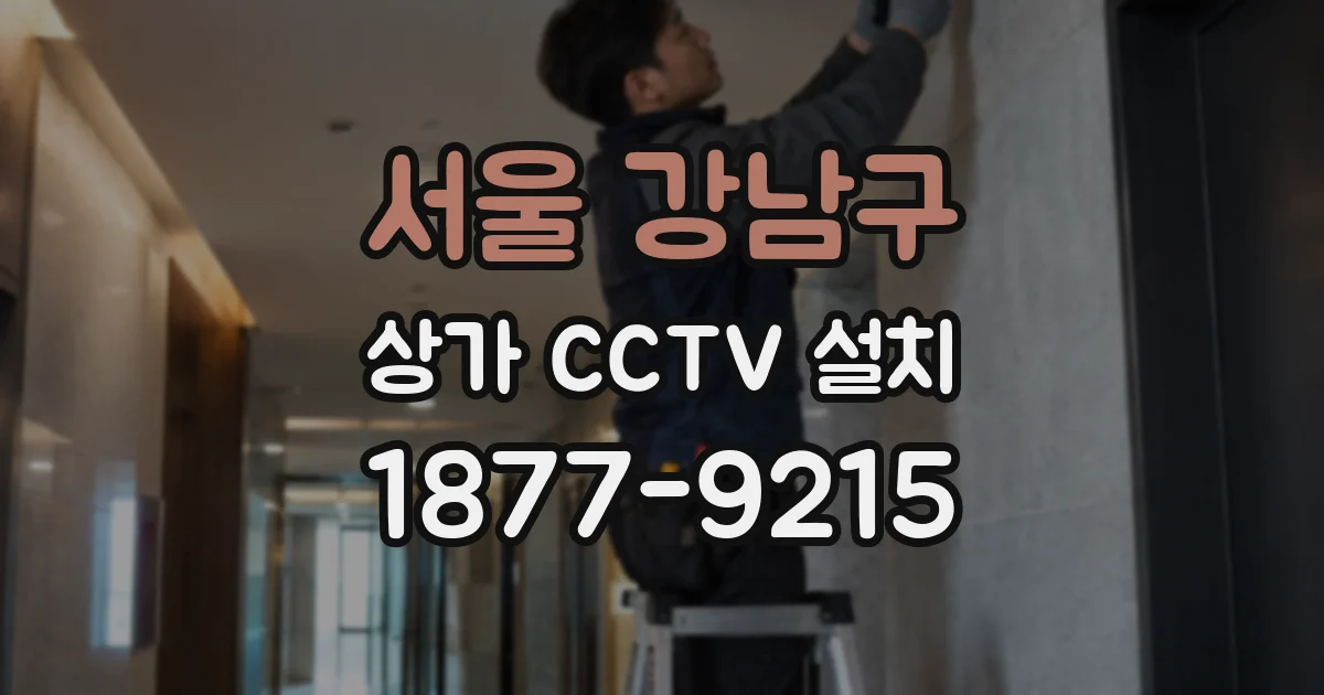 서울 강남구 상가 CCTV 설치