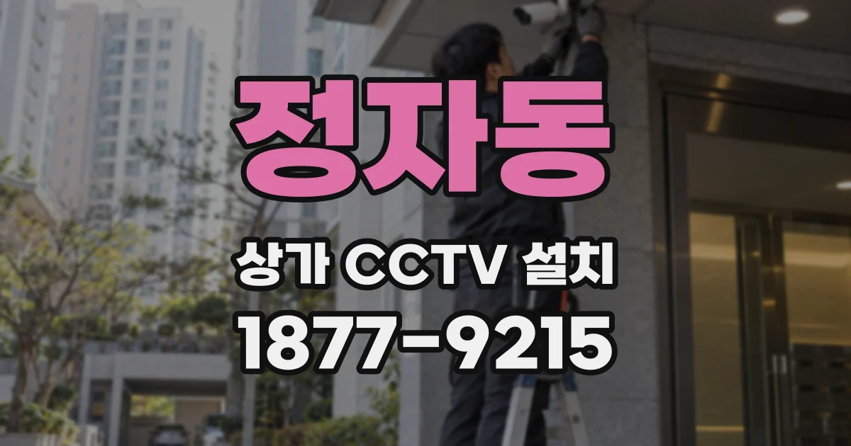 정자동 상가 CCTV 설치